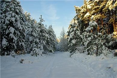 传《刺客信条：代号RED》已完全可玩 2024年初公布