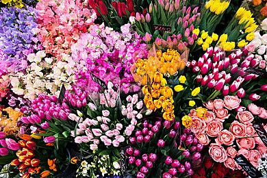 R星起诉GTA逆向工程MOD组作者一案达成庭外和解